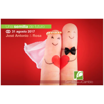 Tarjetas detalle para bodas