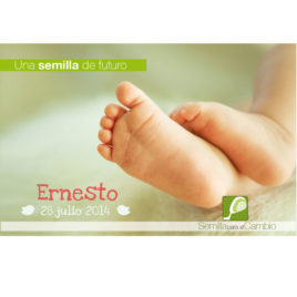 Tarjeta detalle – Bautizo